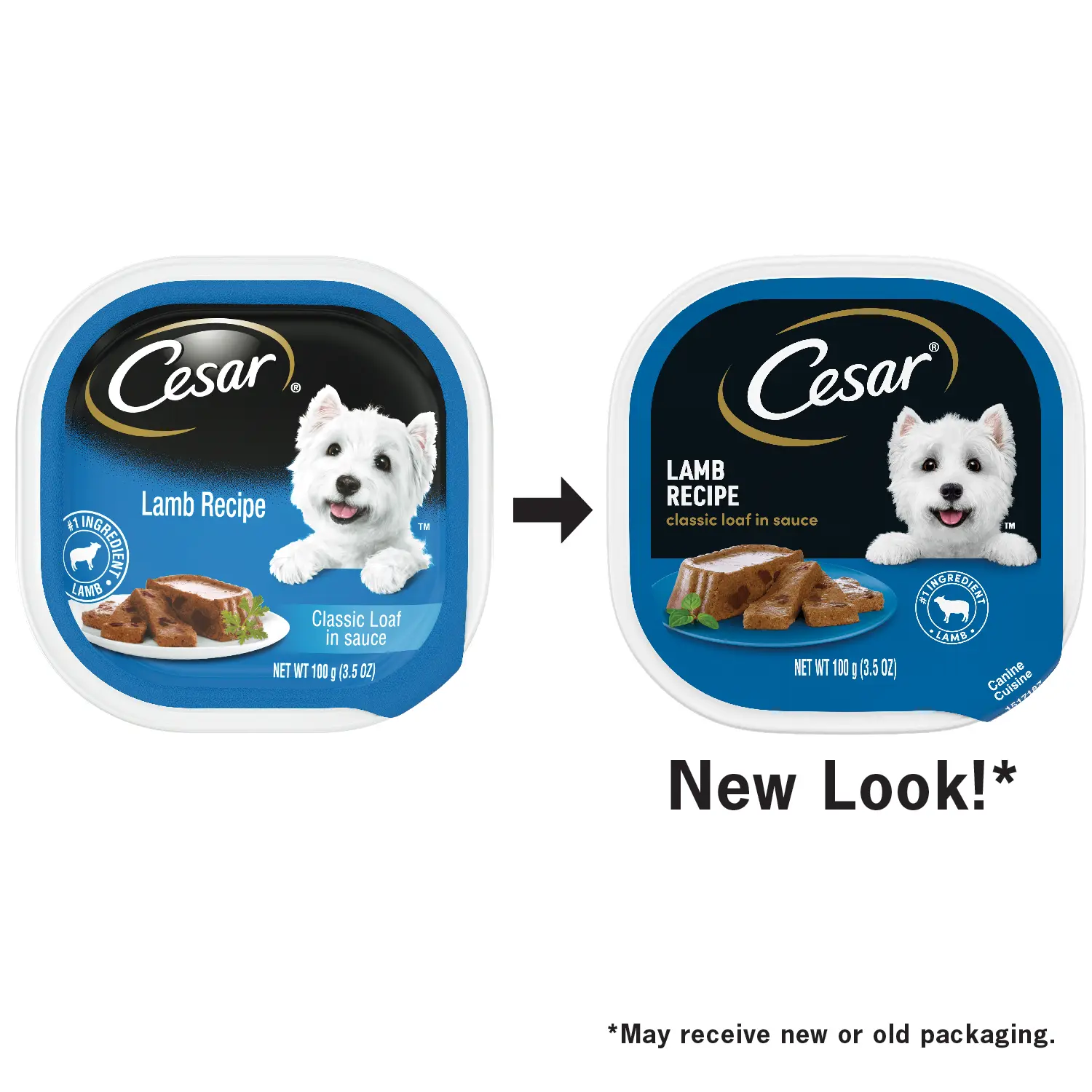 Cesar Classic Loaf in Sauce Adult Wet Dog Food Lamb 3.5-oz - Image 3