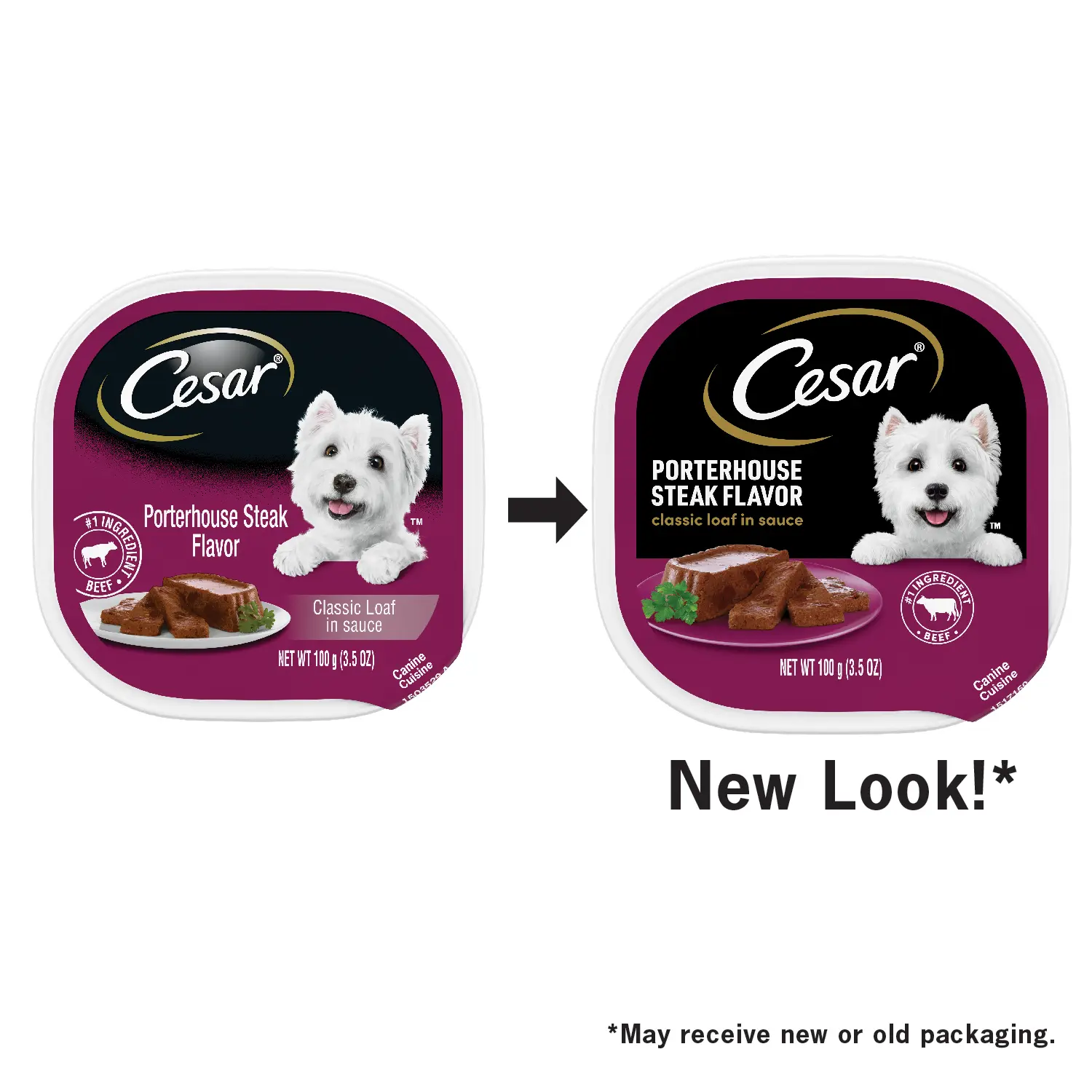Cesar Classic Loaf in Sauce Adult Wet Dog Food Porterhouse Steak 3.5-oz - Image 3