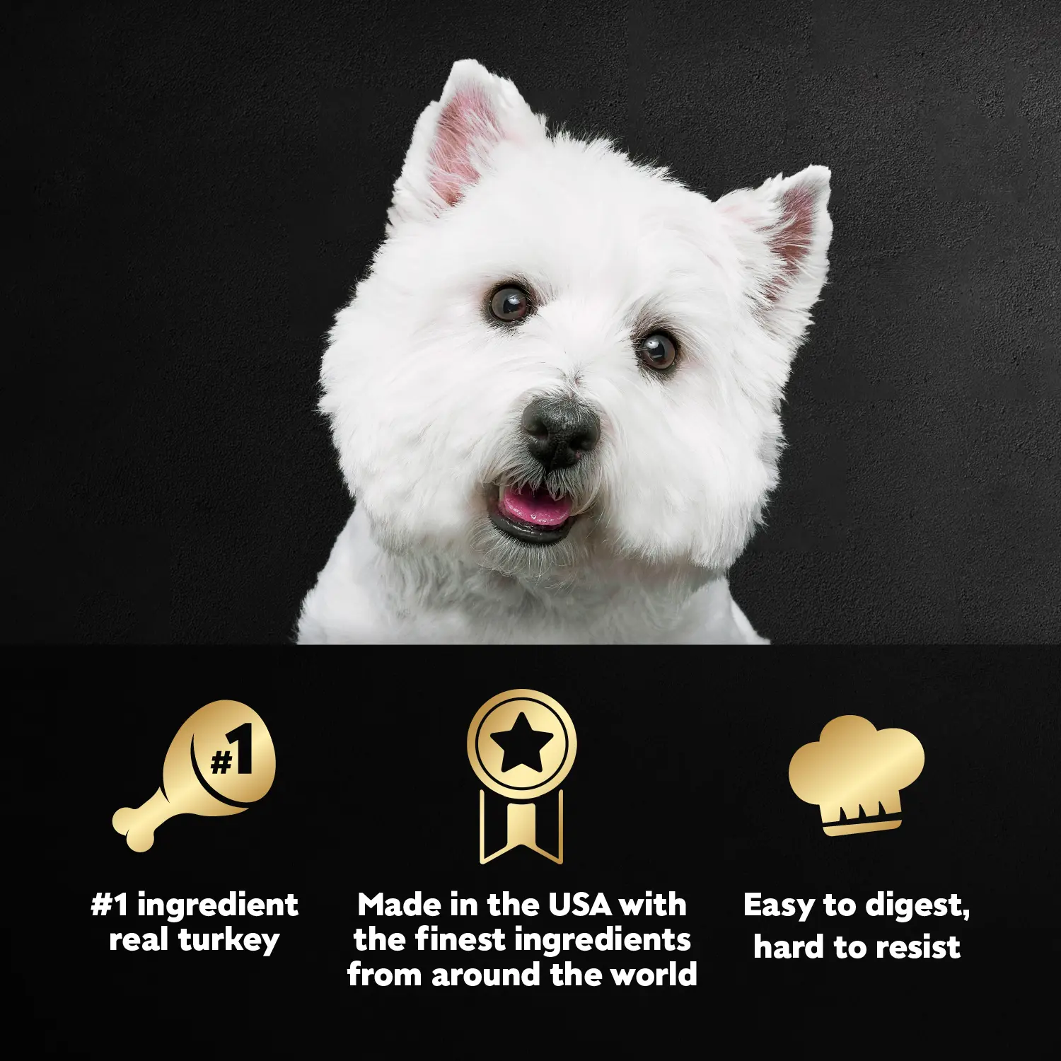 Cesar Classic Loaf in Sauce Adult Wet Dog Food Turkey 3.5-oz - Image 4