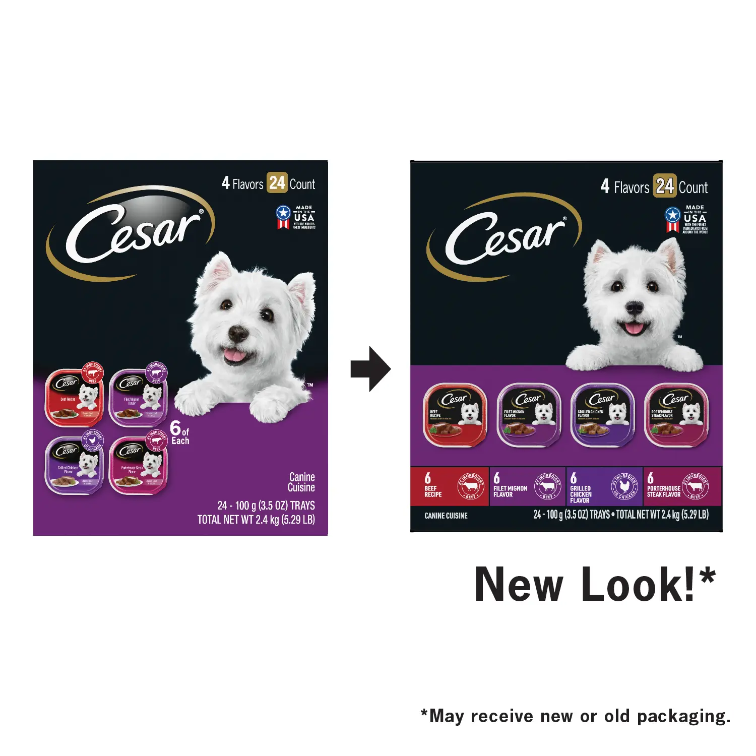 Cesar Classic Loaf in Sauce Adult Wet Dog Food Variety Pack Beef, Filet Mignon, Grilled Chicken, Poterhouse Steak 24 Count 84.66-oz - Image 4
