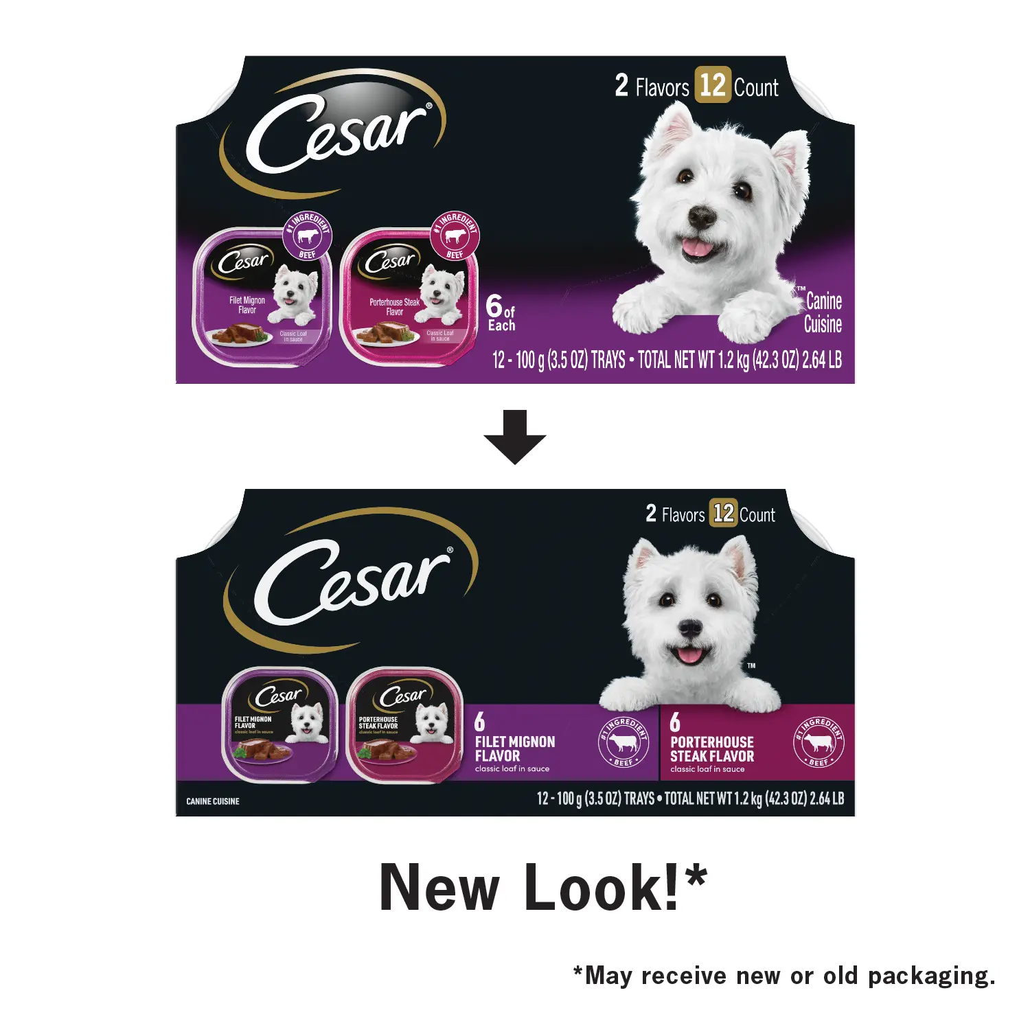 Cesar Classic Loaf in Sauce Adult Wet Dog Food Variety Pack Filet Mignon & Porterhouse Steak 12 Count 42.3-oz - Image 5