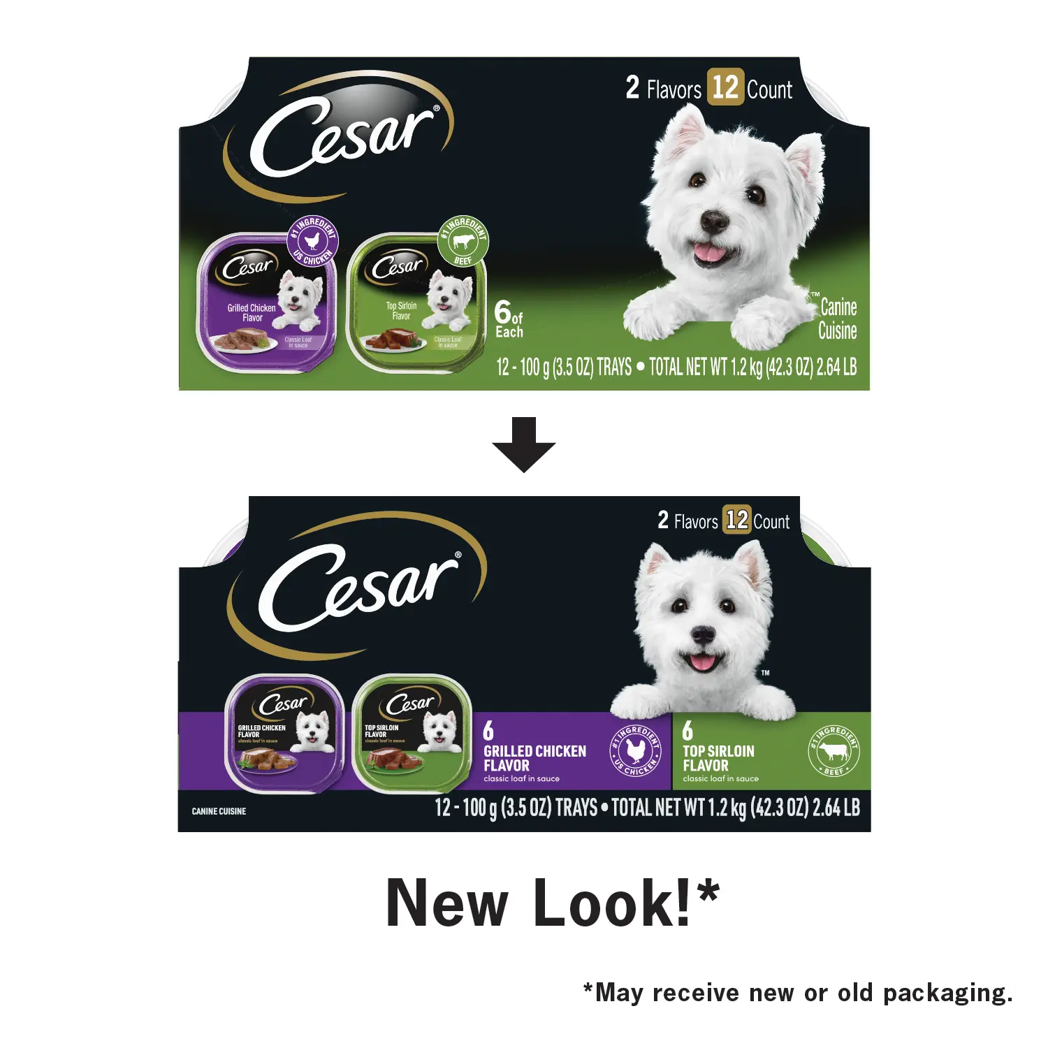 Cesar Classic Loaf in Sauce Adult Wet Dog Food Variety Pack Grilled Chicken & Top Serloin 12 Count 42.3-oz - Image 5