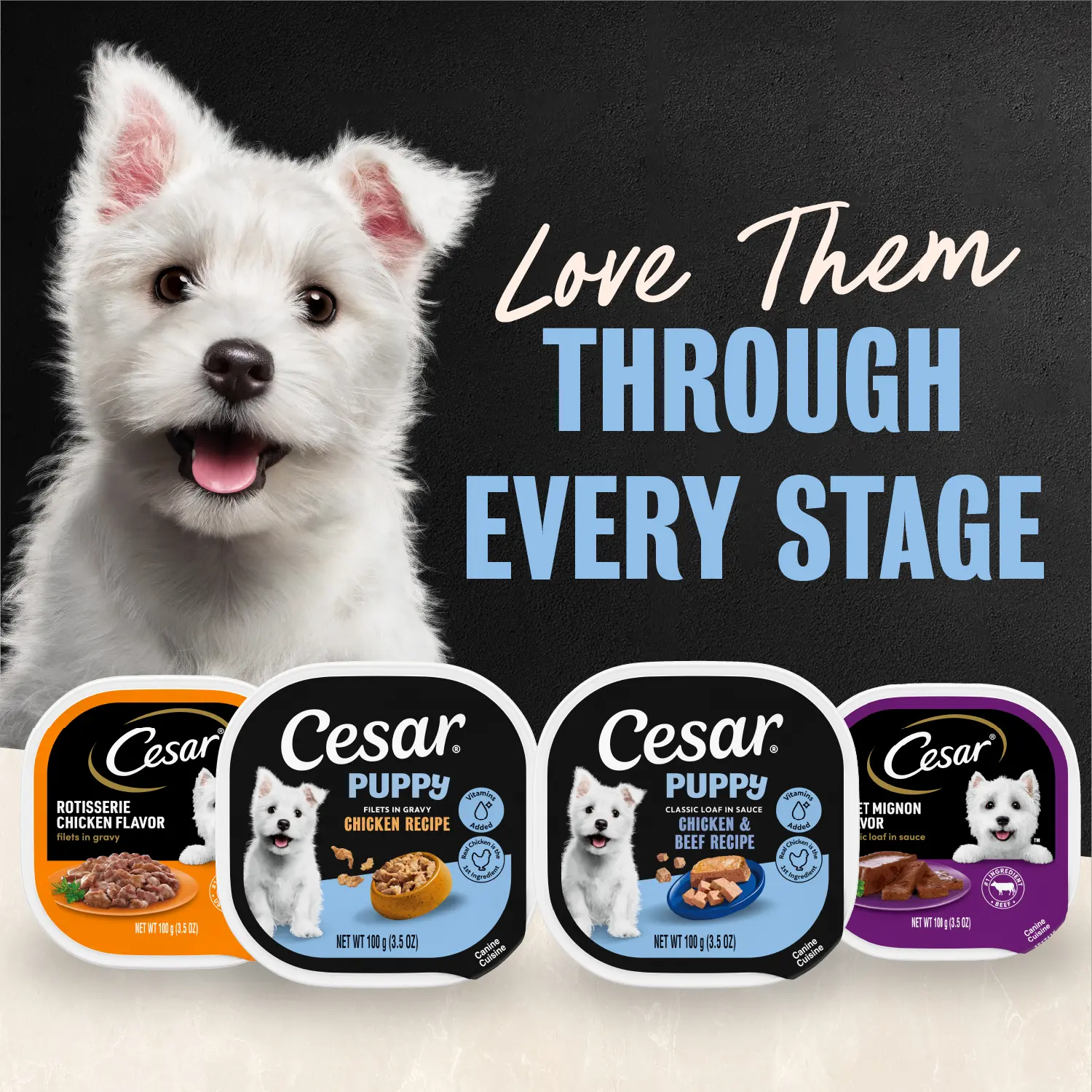Cesar Classic Loaf in Sauce Puppy Wet Dog Food Chicken & Beef 3.5-oz - Image 11