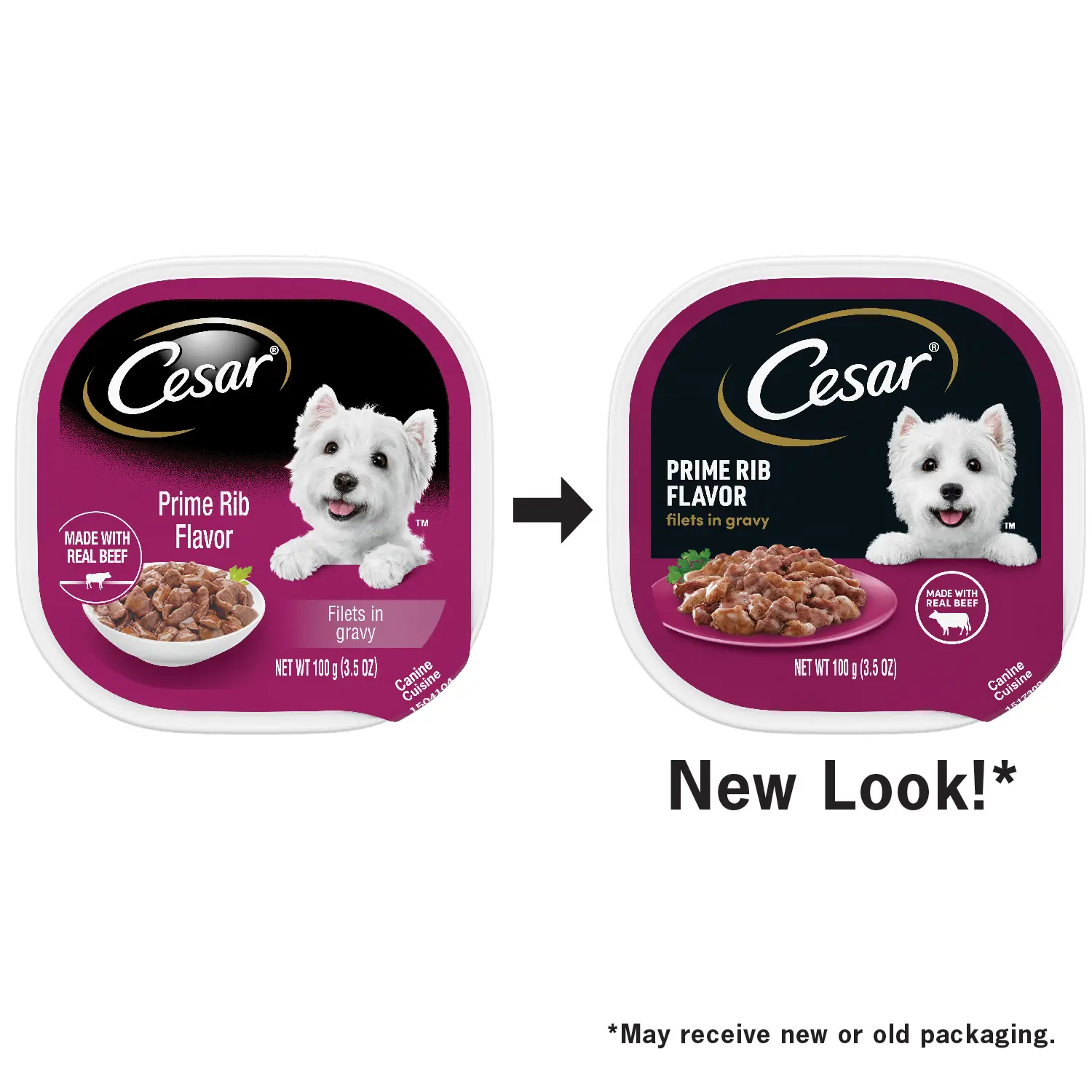 Cesar Filets in Gravy Adult Wet Dog Food Prime Rib 3.5-oz - Image 3
