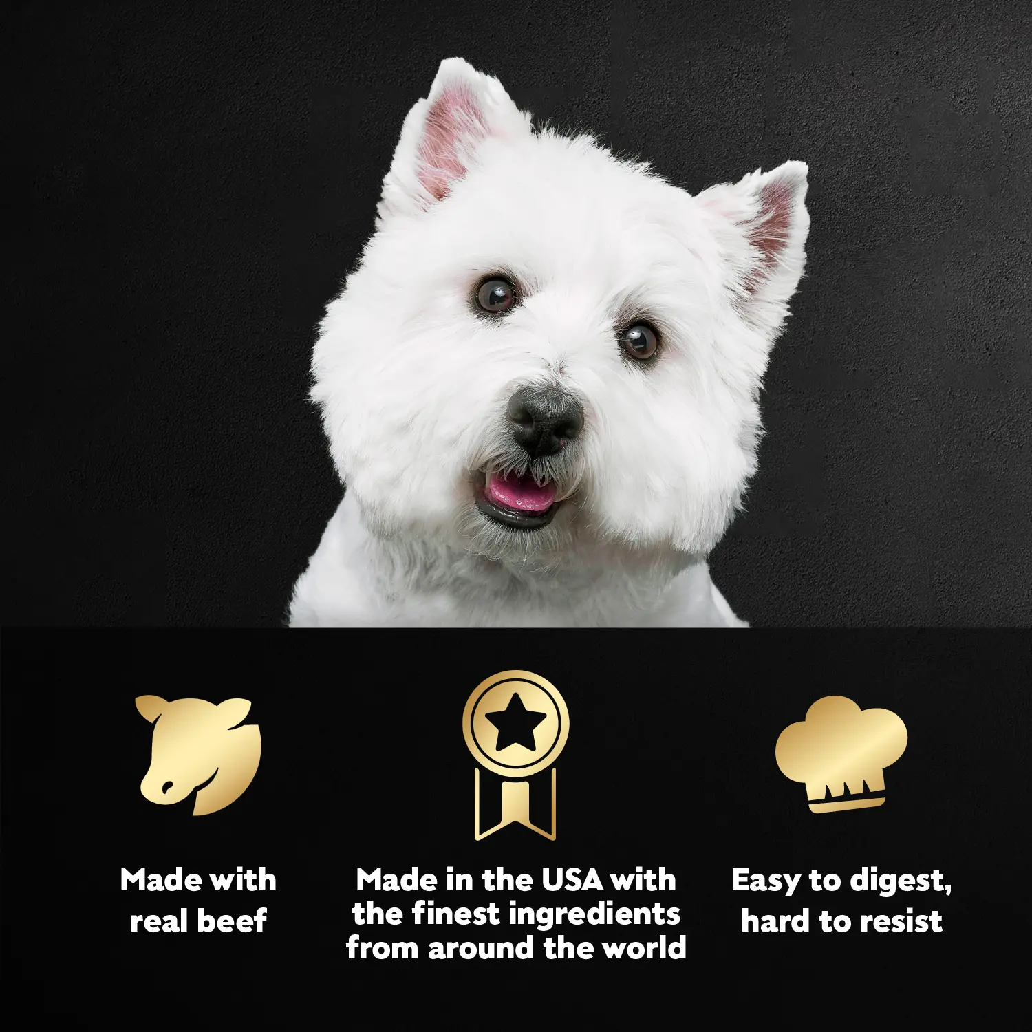 Cesar Filets in Gravy Adult Wet Dog Food Prime Rib 3.5-oz - Image 4