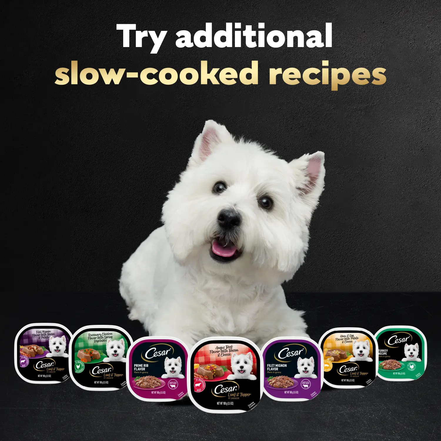 Cesar Loaf & Topper in Sauce Adult Wet Dog Food Rotisserie Chicken w/Bacon & Cheese 3.5-oz - Image 10