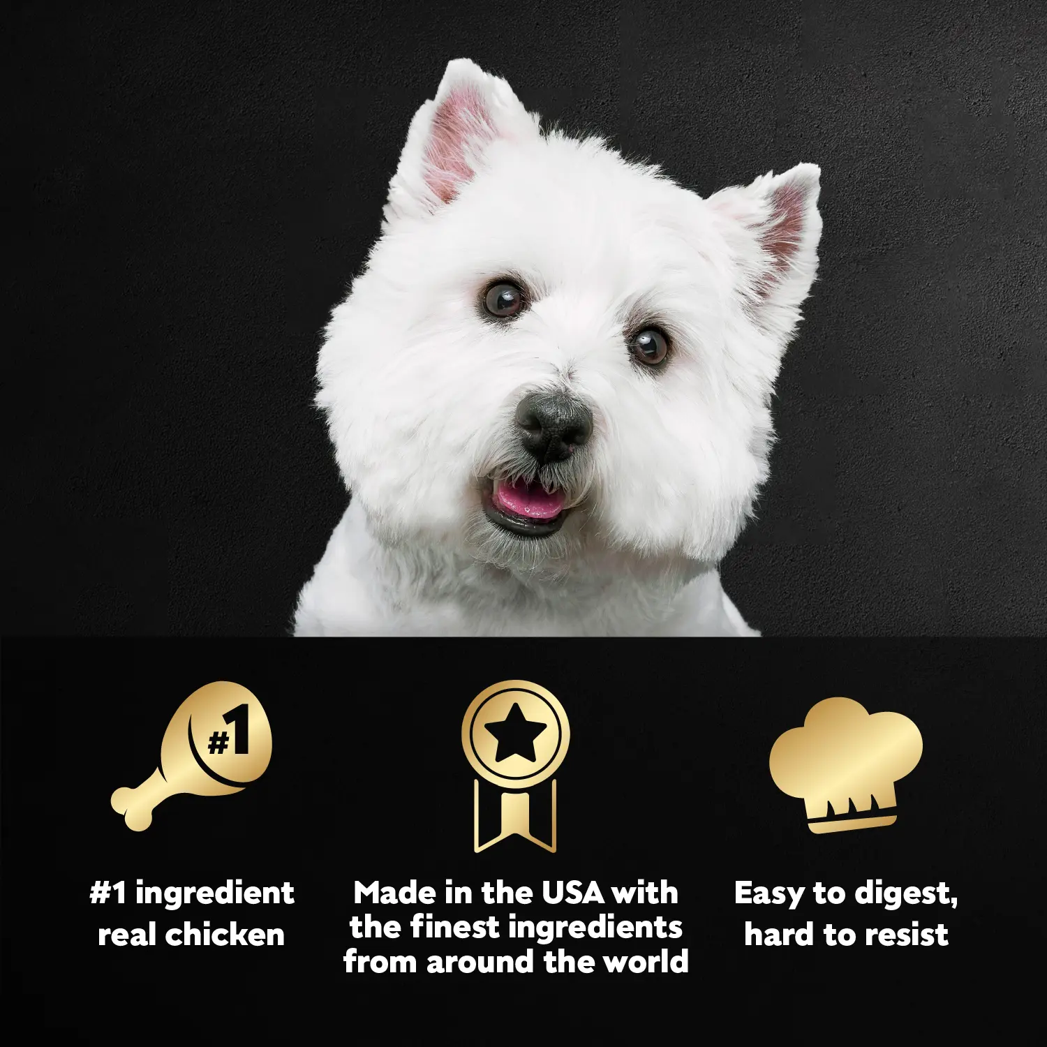 Cesar Loaf & Topper in Sauce Adult Wet Dog Food Rotisserie Chicken w/Bacon & Cheese 3.5-oz - Image 4