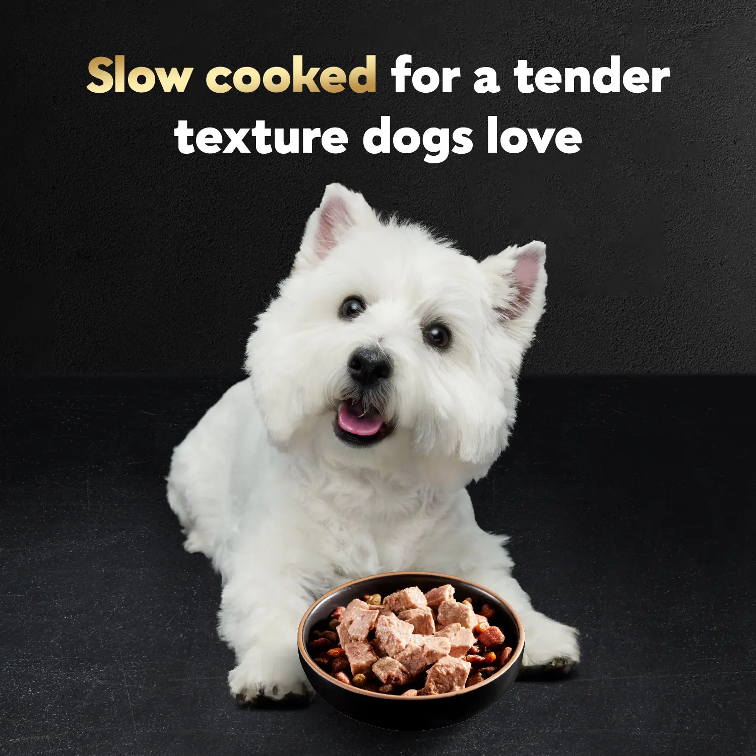 Cesar Loaf & Topper in Sauce Adult Wet Dog Food Rotisserie Chicken w/Bacon & Cheese 3.5-oz - Image 5