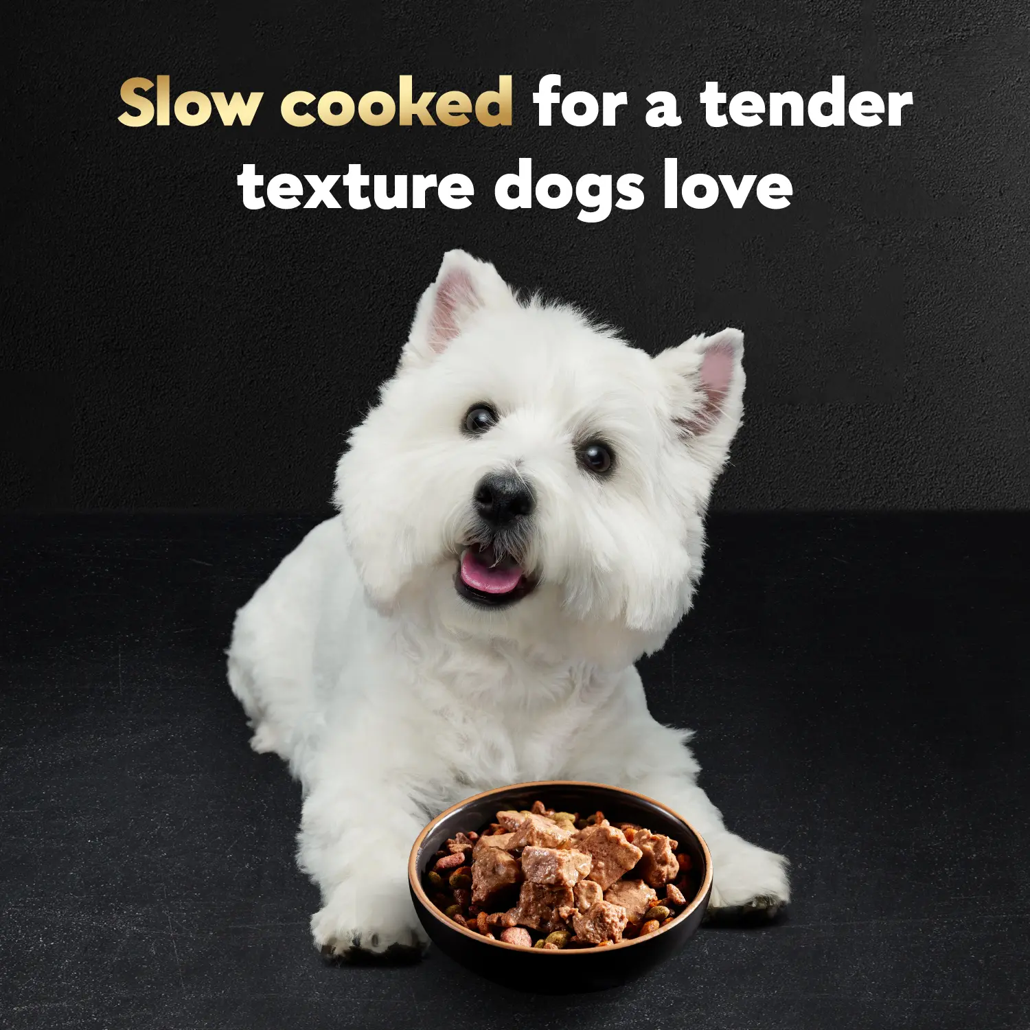 Cesar Loaf & Topper in Sauce Adult Wet Dog Food Variety Pack Rotisserie Chicken, Filet Mignon 12 Count 3.5-oz - Image 7