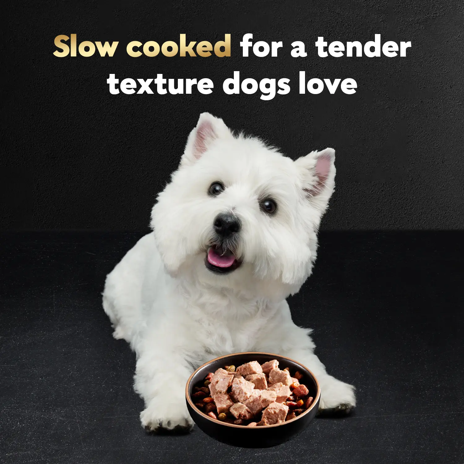 Cesar Sunrise Classic Loaf in Sauce Adult Wet Dog Food Grilled Steak & Eggs 3.5-oz - Image 5