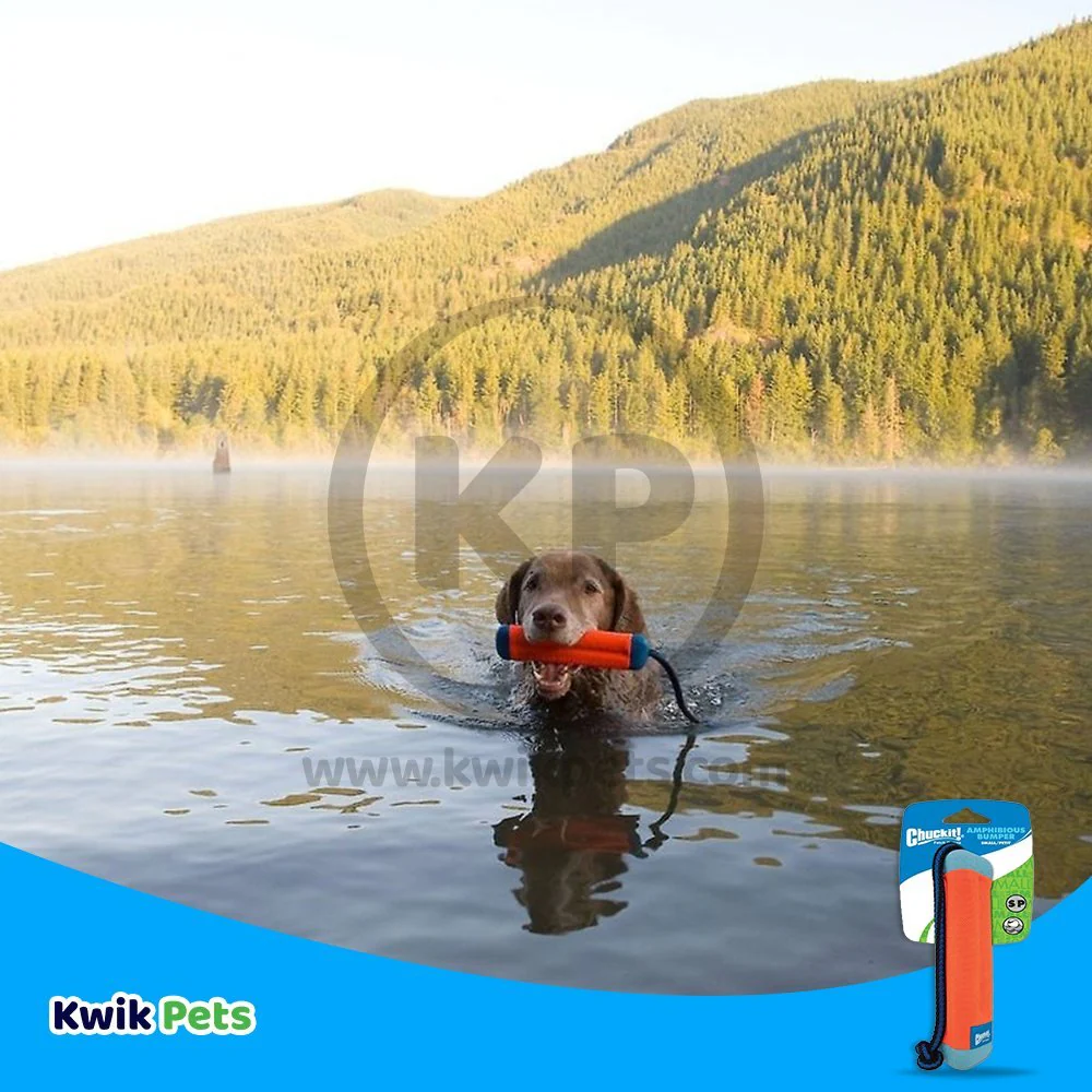 Chuckit! Amphibious Bumper Dog Toy Assorted Small - Image 5
