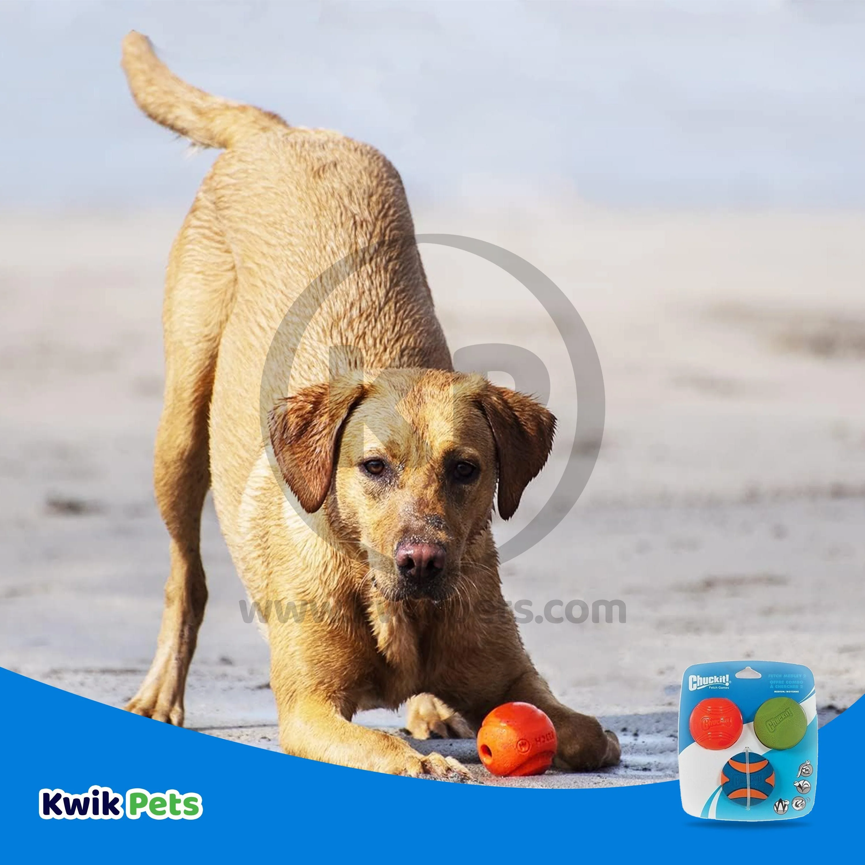 Chuckit! Fetch Ball Medley 2 Triple Pack Ball Dog Toy Medium 3 Count - Image 4