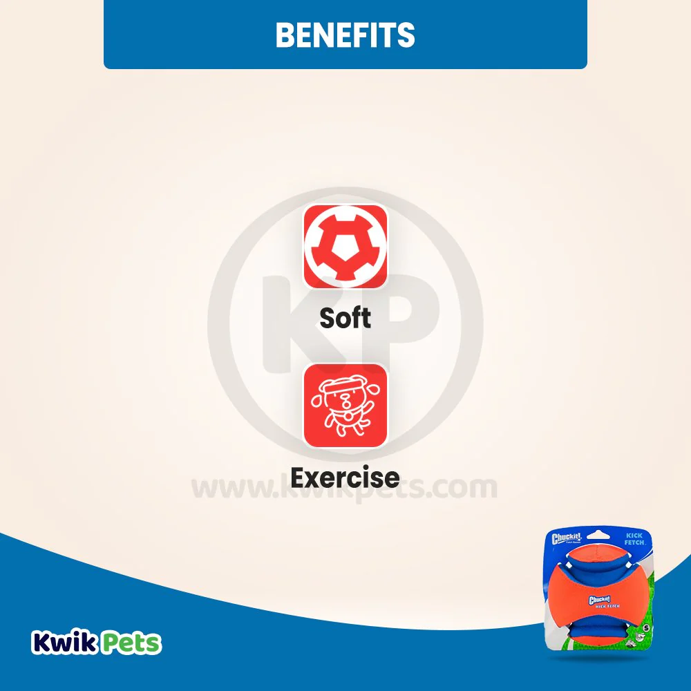 Chuckit! Kick Fetch Ball Dog Toy Small - Image 3