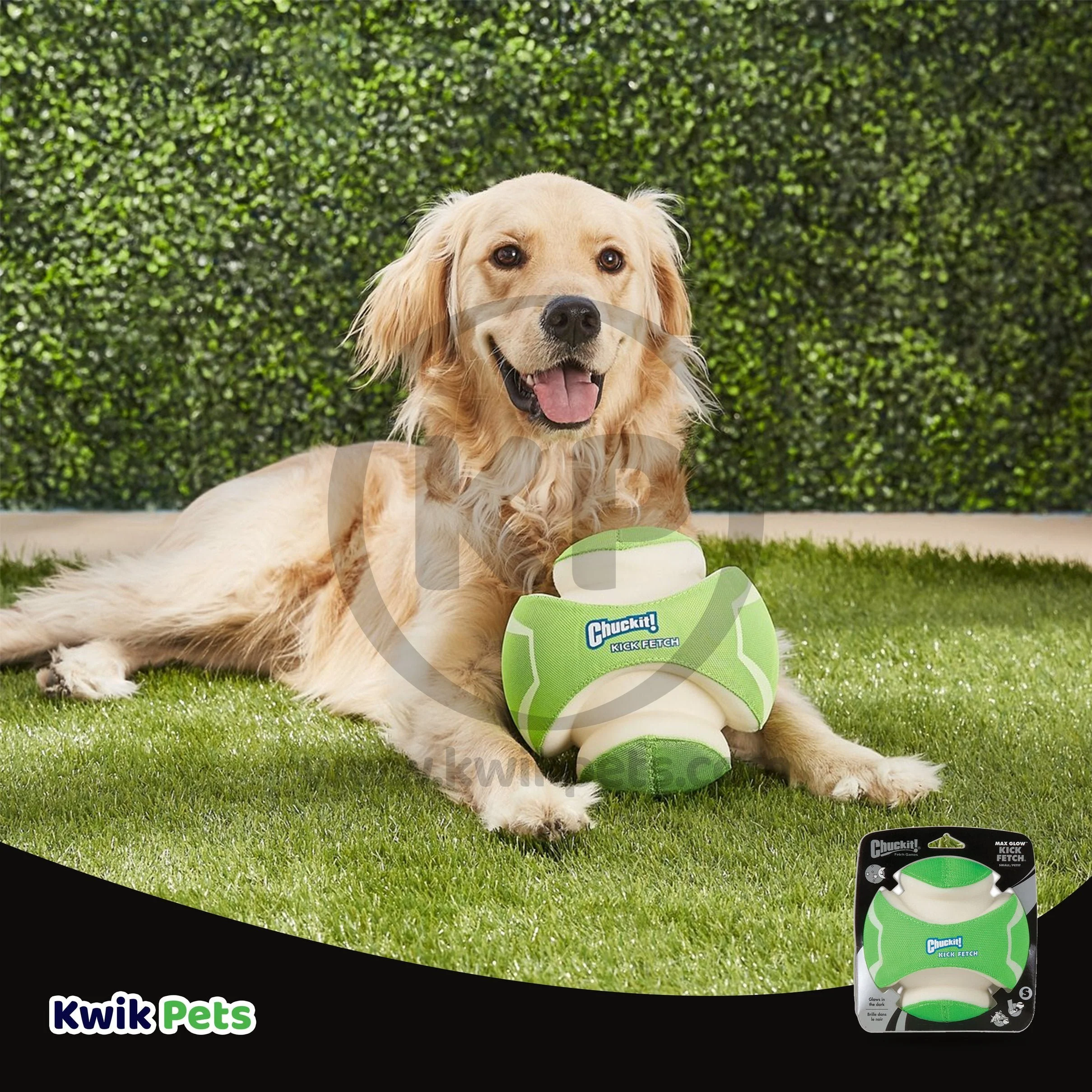 Chuckit! Kick Fetch Max Glow Dog Toy Green/White Large - Image 5