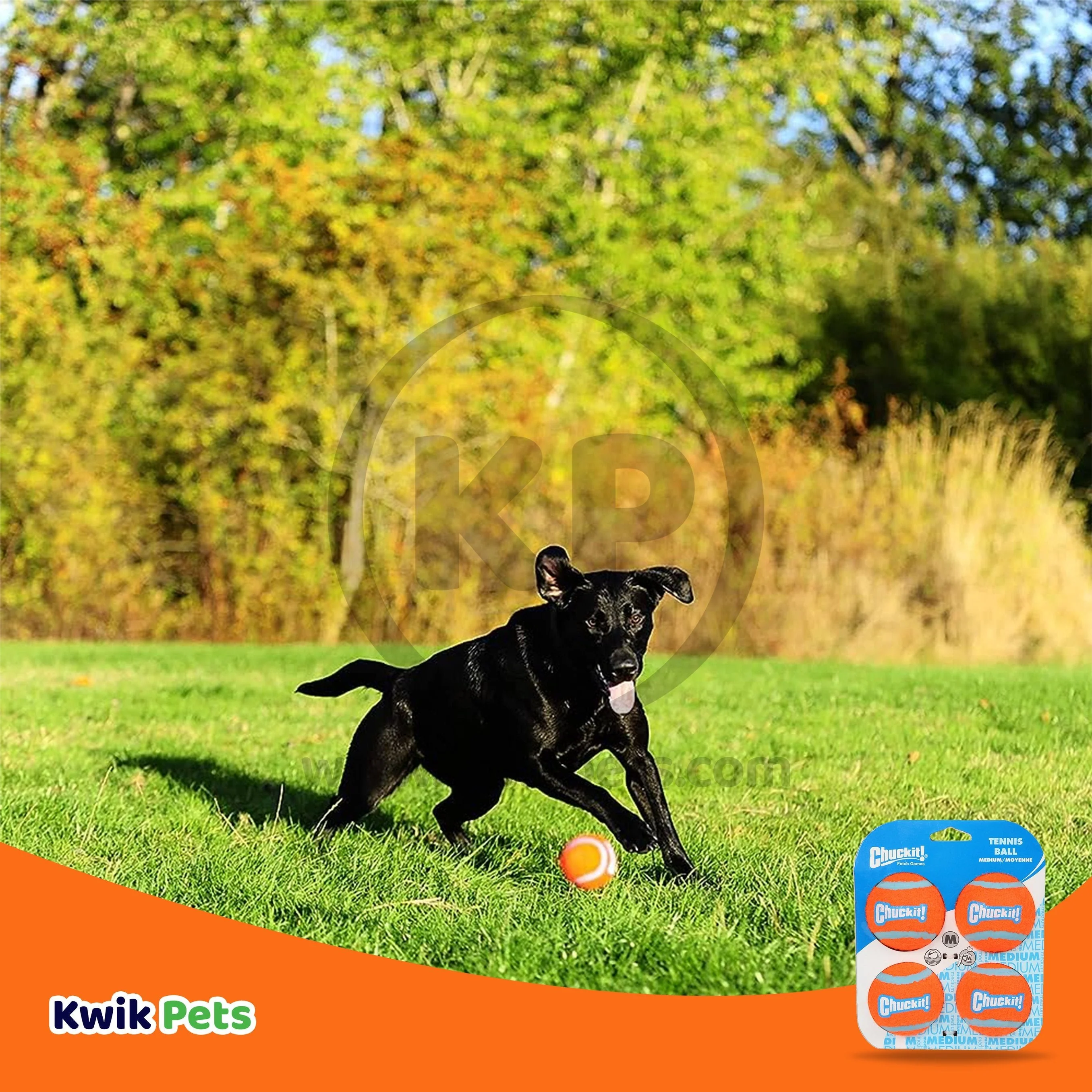 Chuckit! Tennis Ball Dog Toy Hang Tab Blue/Orange Medium 4 Count - Image 5