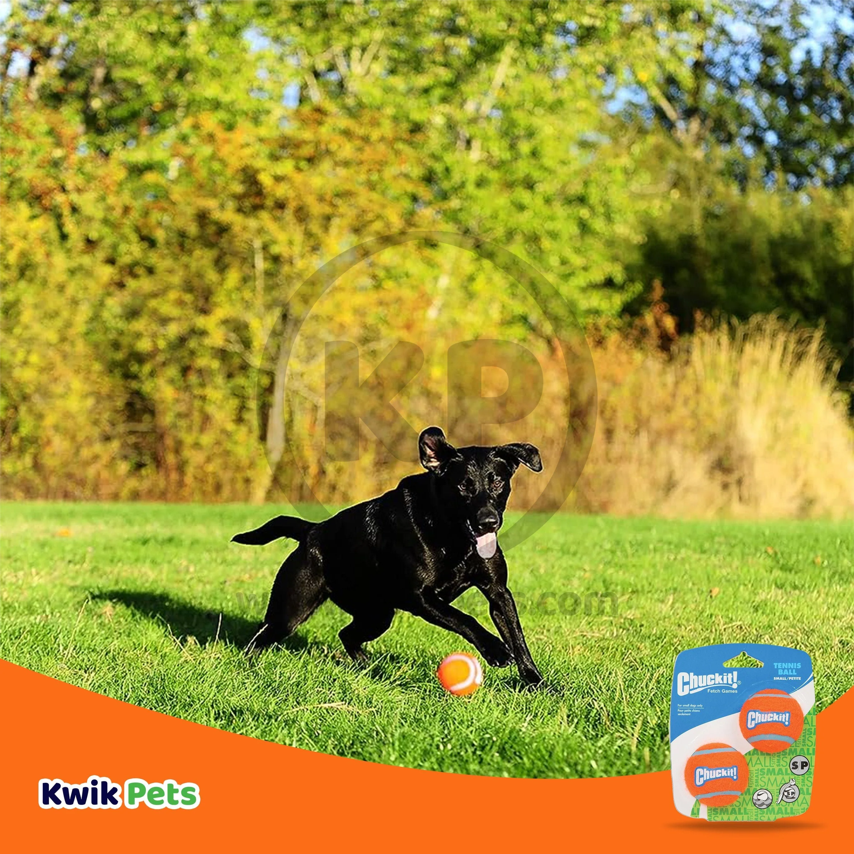 Chuckit! Tennis Ball Dog Toy Shrink Sleeve Blue/Orange Small 2 Count - Image 5