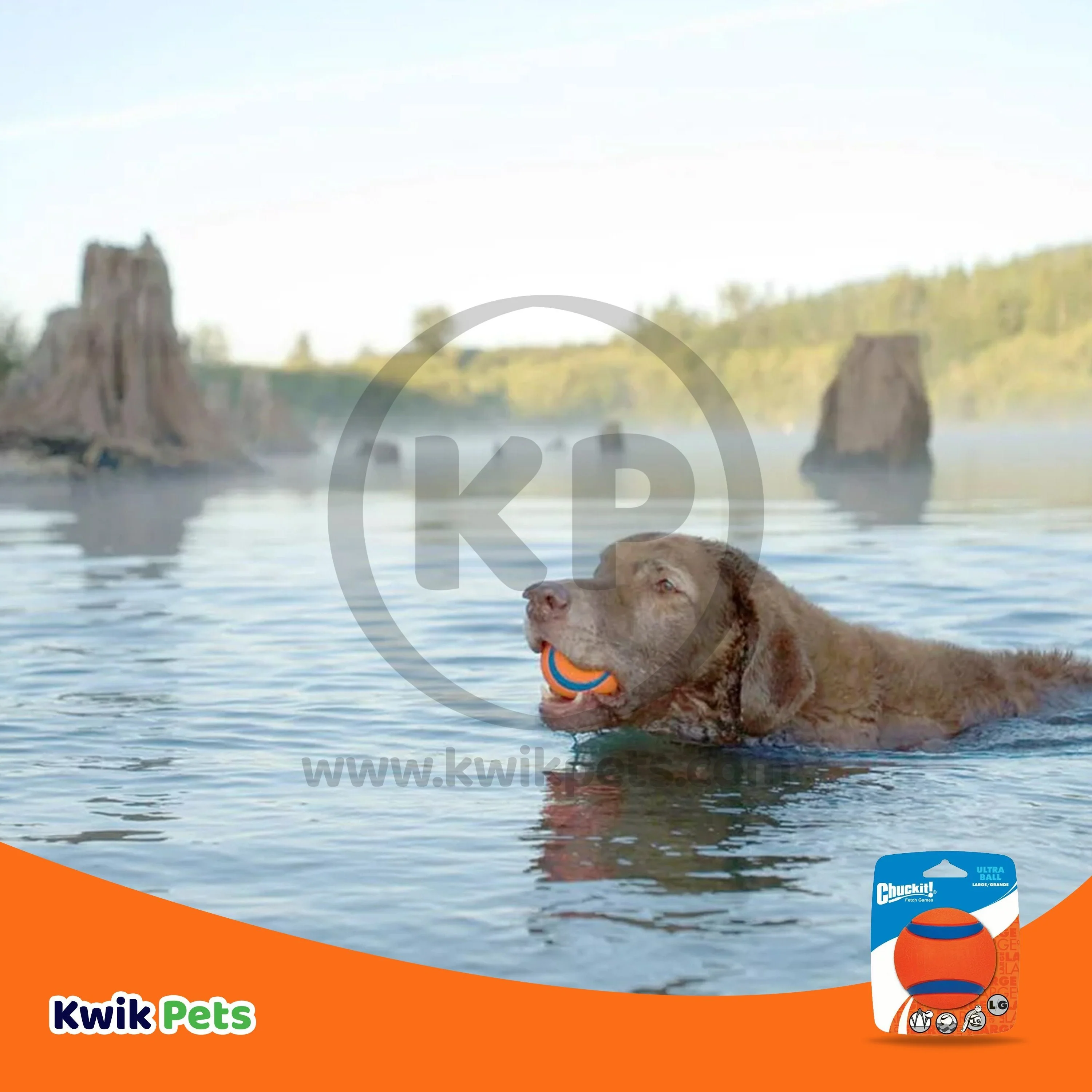 Chuckit! Ultra Ball Dog Toy Blue/Orange Large - Image 5