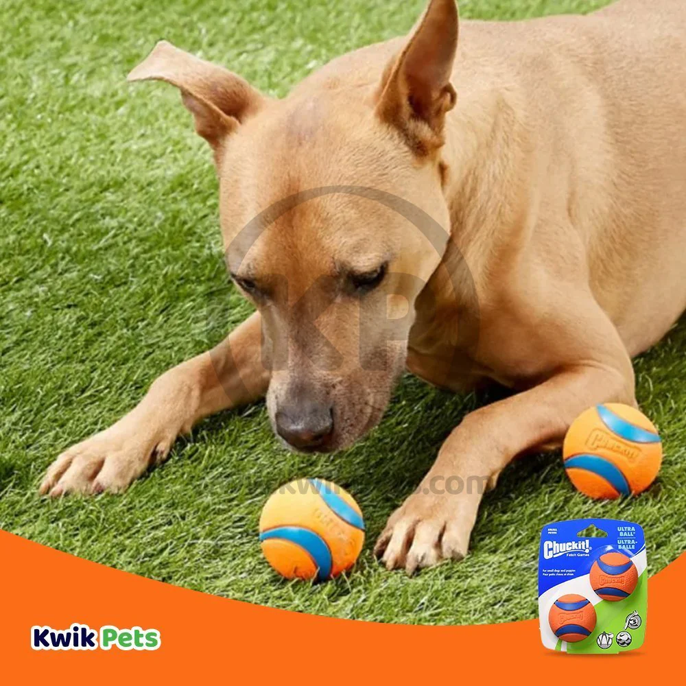 Chuckit! Ultra Ball Dog Toy Blue/Orange Small 2 Count - Image 5