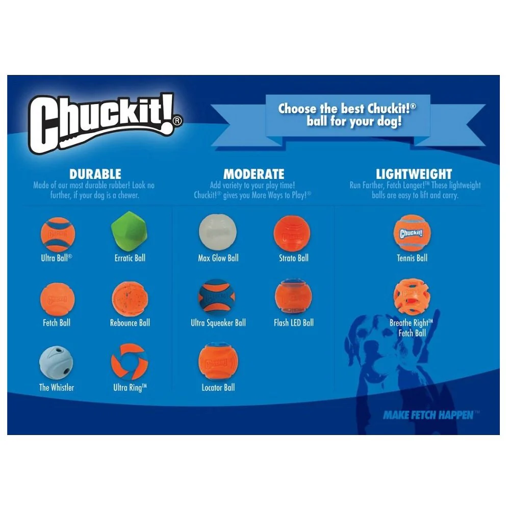 Chuckit! Ultra Squeaker Ball Dog Toy Small - Image 4