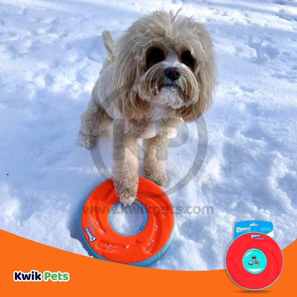 Chuckit! ZipFlight Flying Ring Dog Toy Assorted Medium - Image 5