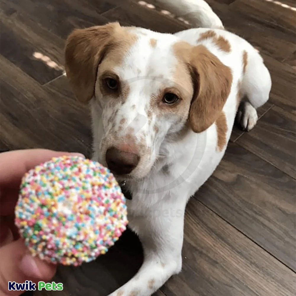 Claudia’s Canine Bakery PupCups with Sprinkles Dog Treat 12 Count - Image 6