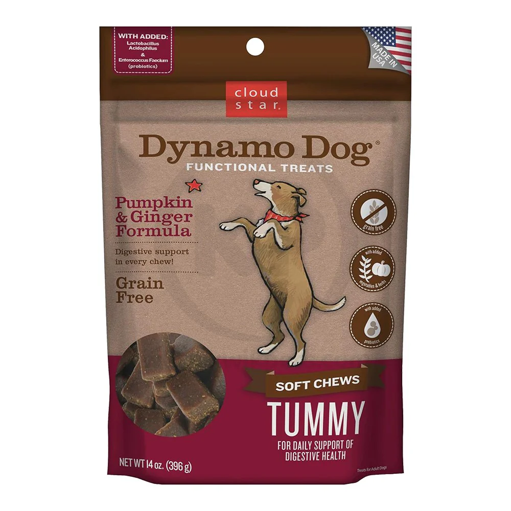 Cloud Star Dynamo Dog Tummy Functional Treats Pumpkin & Ginger 14-oz