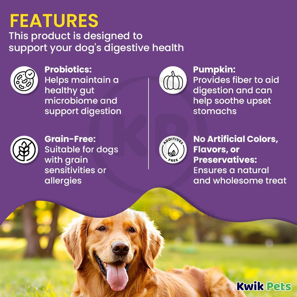 Cloud Star Dynamo Dog Tummy Functional Treats Pumpkin & Ginger 14-oz - Image 3