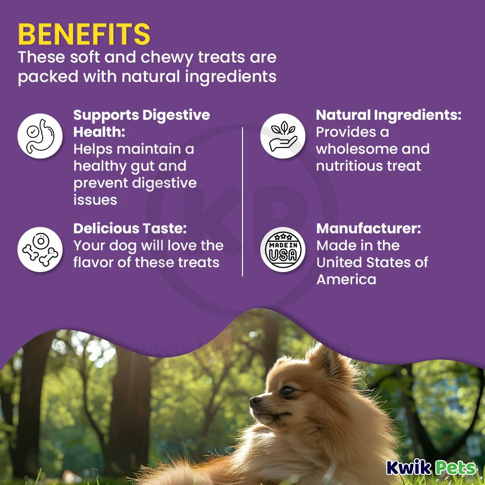 Cloud Star Dynamo Dog Tummy Functional Treats Pumpkin & Ginger 14-oz - Image 4