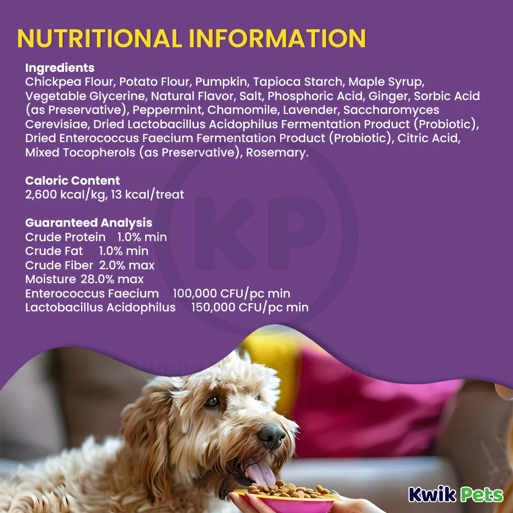 Cloud Star Dynamo Dog Tummy Functional Treats Pumpkin & Ginger 14-oz - Image 5