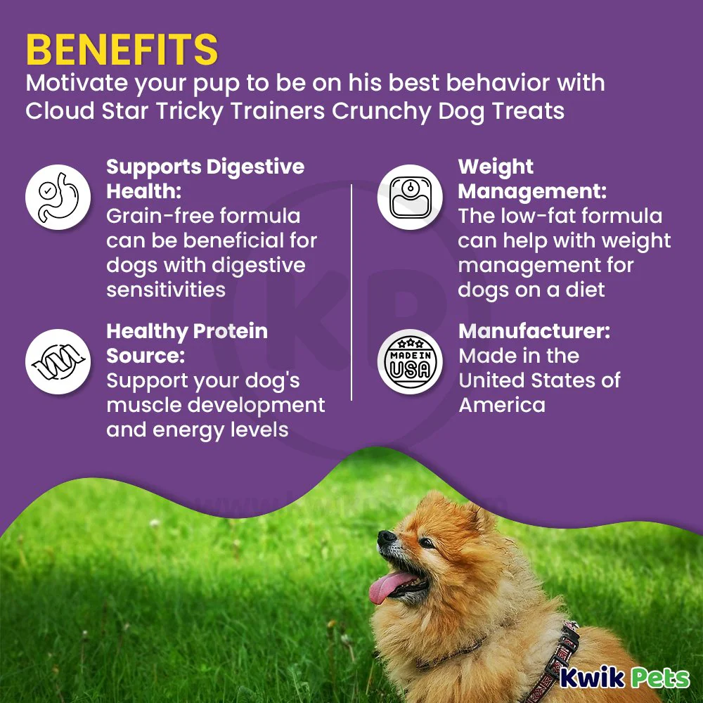 Cloud Star Tricky Trainers Crunchy Dog Training Treats Cheddar 8-oz - Image 4