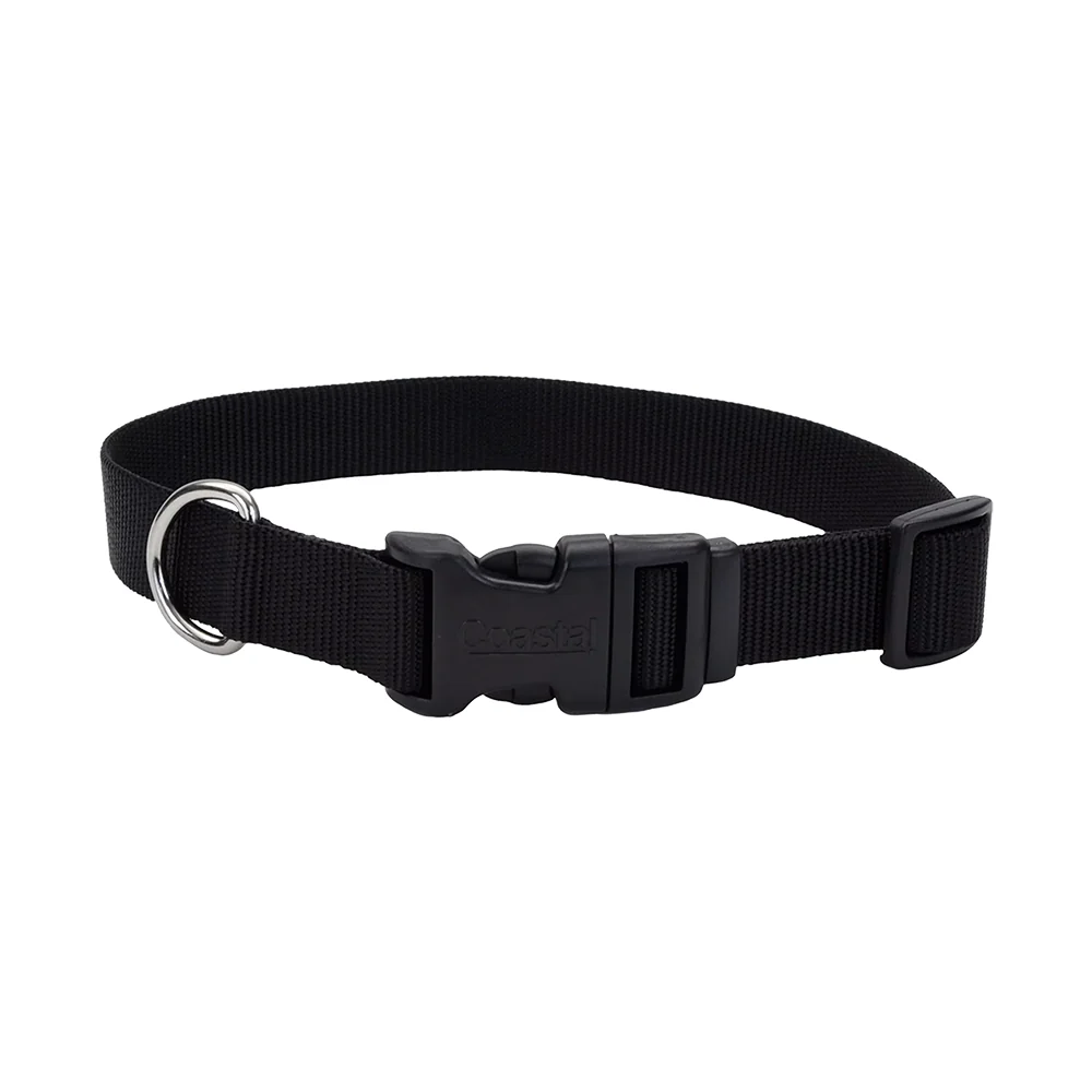 Coastal Adjustable Nylon Dog Collar with Plastic Buckle Black 3/8 in X 8-12 in