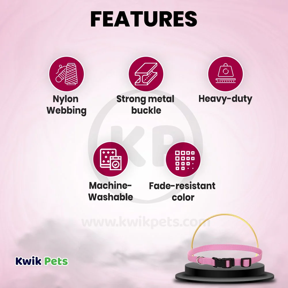 Coastal Adjustable Nylon Dog Collar with Plastic Buckle Bright Pink 3/4 in X 14-20 in - Image 2