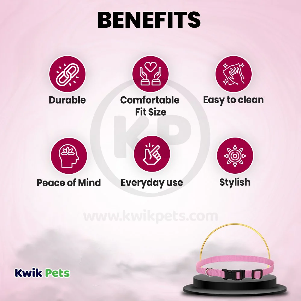 Coastal Adjustable Nylon Dog Collar with Plastic Buckle Bright Pink 3/4 in X 14-20 in - Image 3
