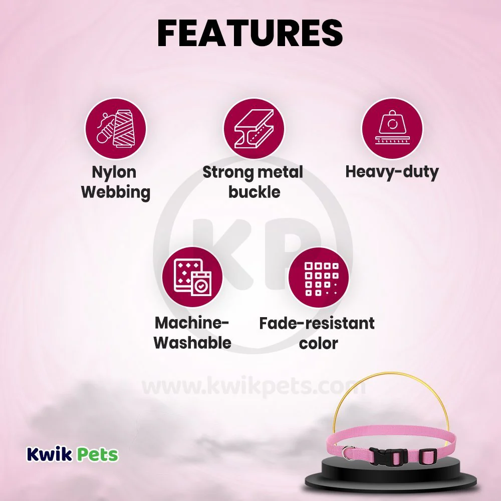 Coastal Adjustable Nylon Dog Collar with Plastic Buckle Bright Pink 3/8 in X 8-12 in - Image 2