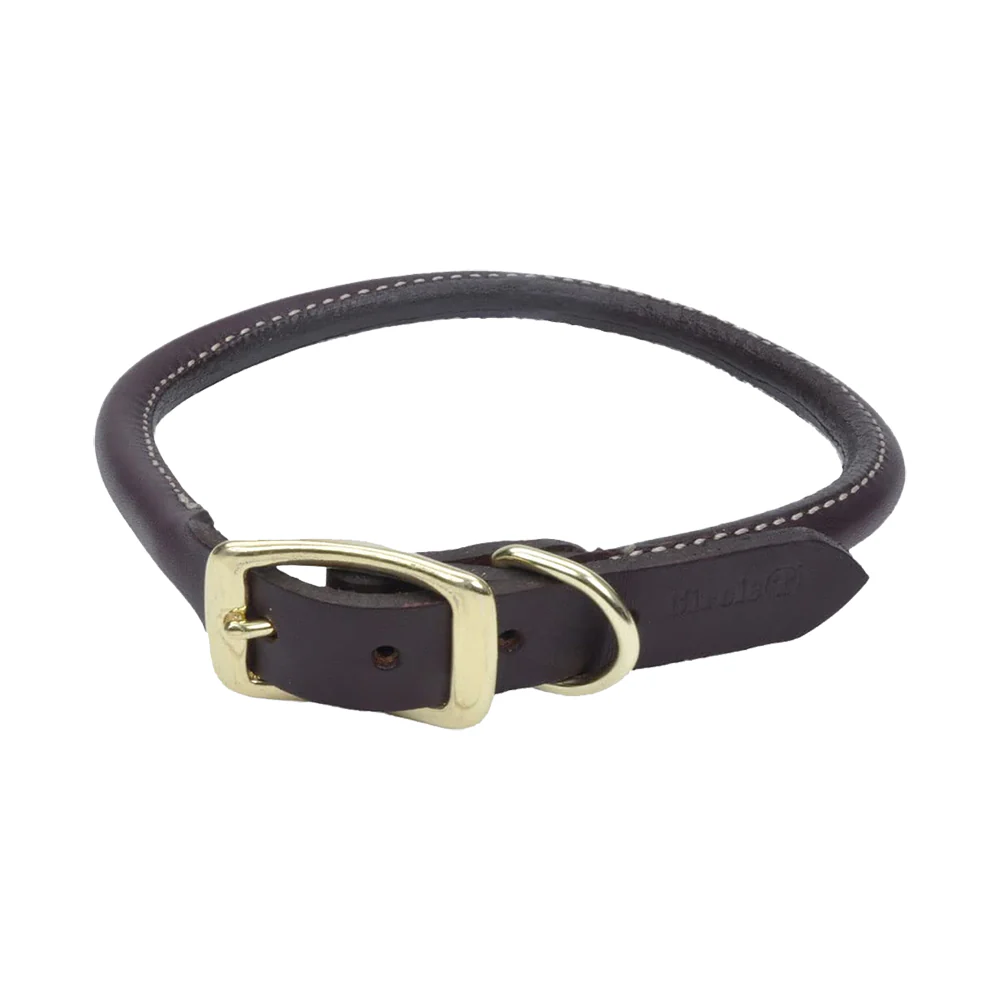 Coastal Circle T Latigo Leather Round Dog Collar Brown 3/4 in X 20 in