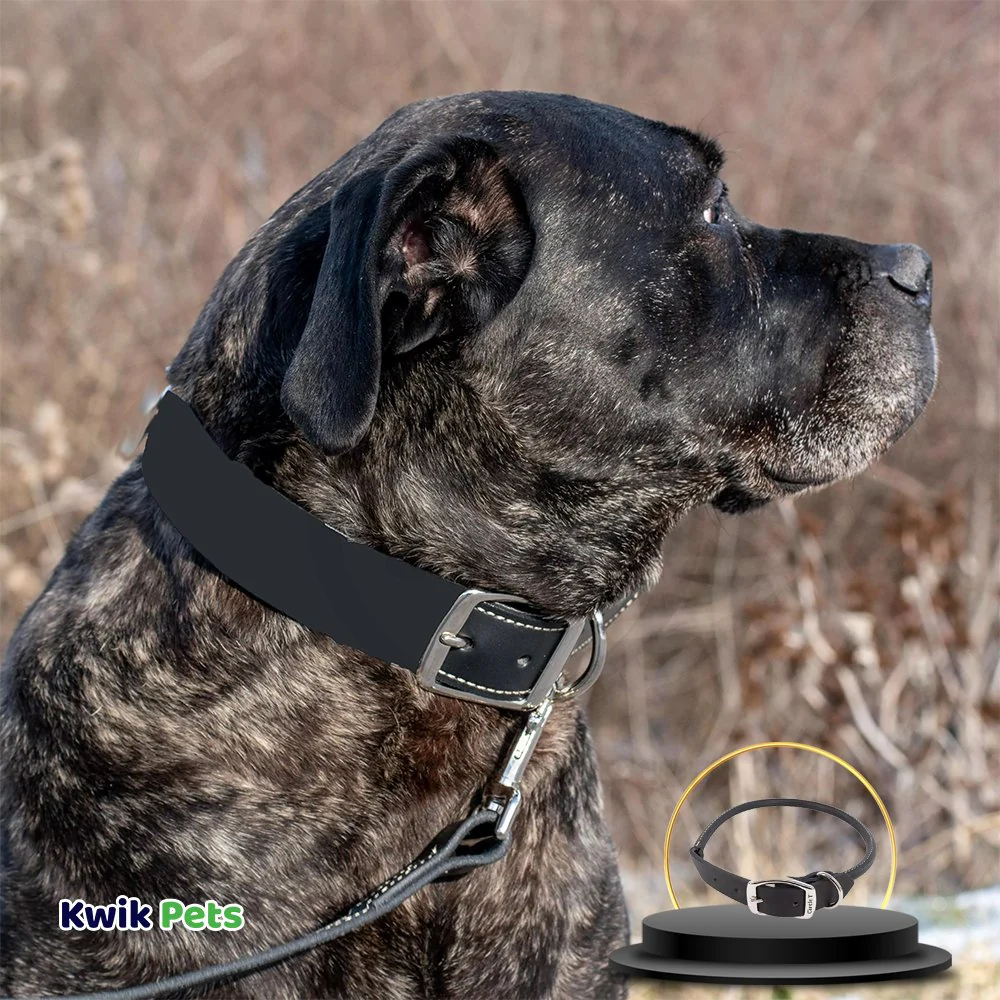 Coastal Circle T Oak Tanned Leather Round Dog Collar Black 3/4 in X 18 in - Image 4