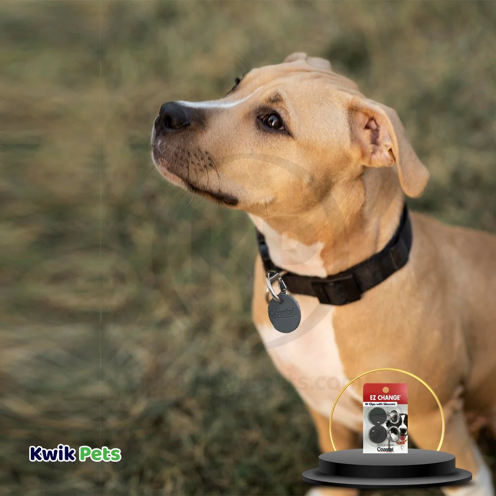 Coastal EZ Change Dog ID Clip with Silencer - Image 5
