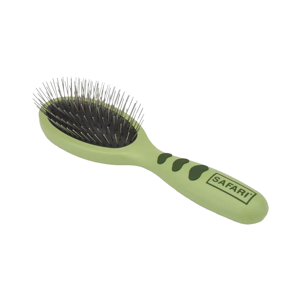 Coastal Safari Wire Pin Brush for Dogs Green Small