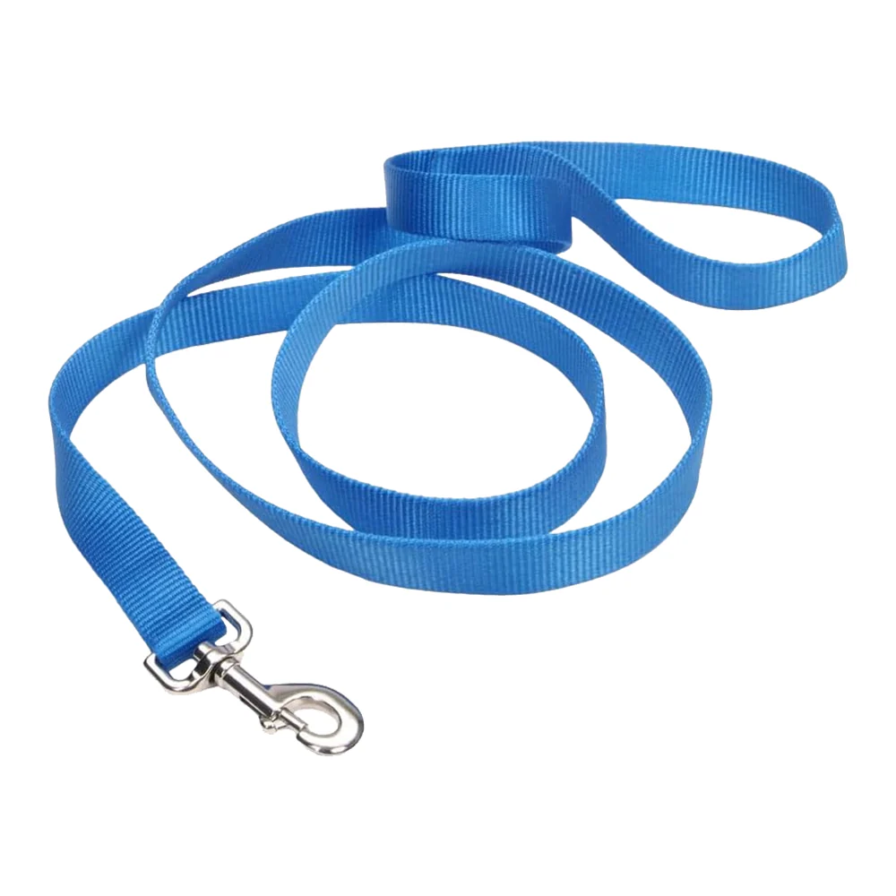 Coastal Single-Ply Nylon Dog Leash Blue Lagoon 1 in X 6 ft