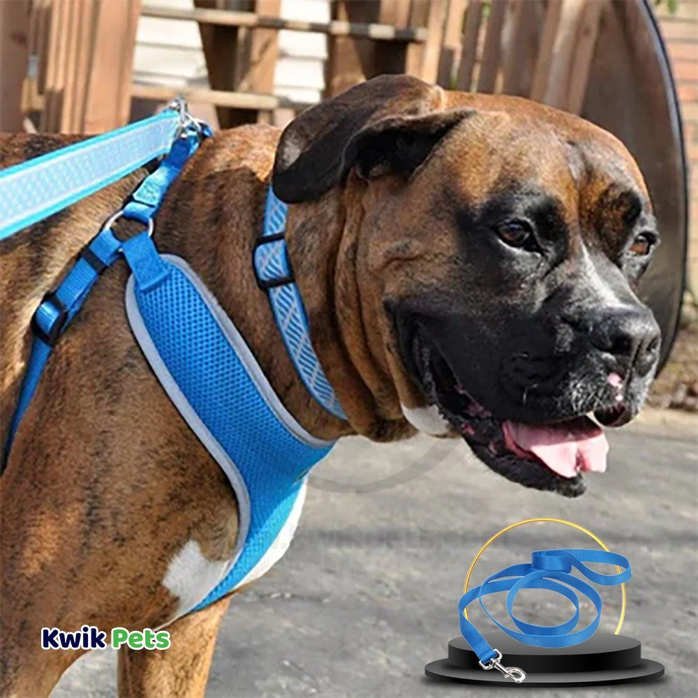 Coastal Single-Ply Nylon Dog Leash Blue Lagoon 5/8 in X 6 ft - Image 3