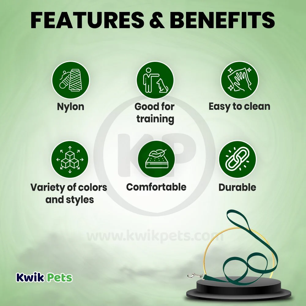 Coastal Single-Ply Nylon Dog Leash Hunter Green 5/8 in X 6 ft - Image 2