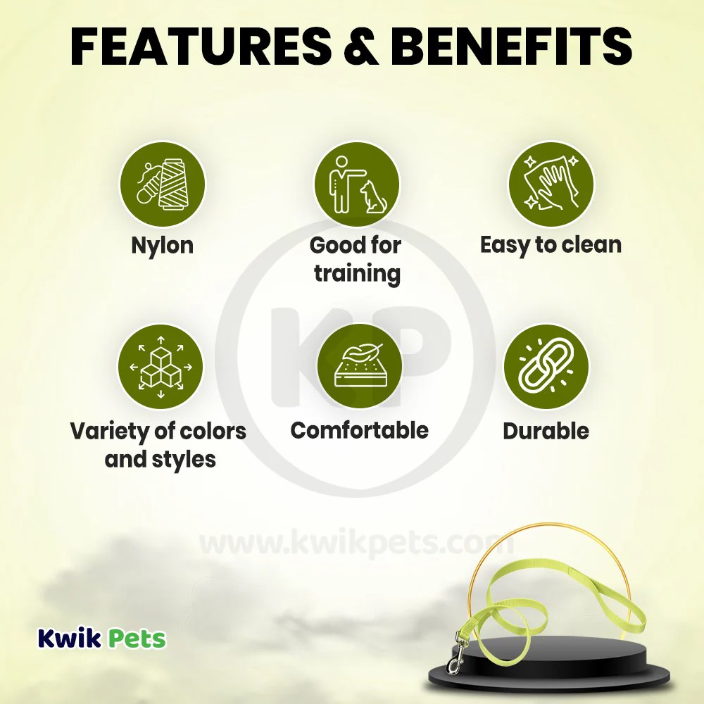 Coastal Single-Ply Nylon Dog Leash Lime 1 in X 6 ft - Image 2