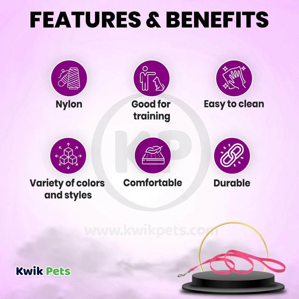 Coastal Single-Ply Nylon Dog Leash Neon Pink 1 in X 6 ft - Image 2