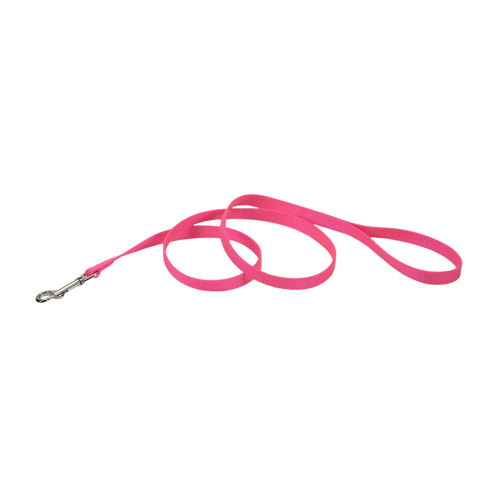 Coastal Single-Ply Nylon Dog Leash Neon Pink 3/8 in X 6 ft