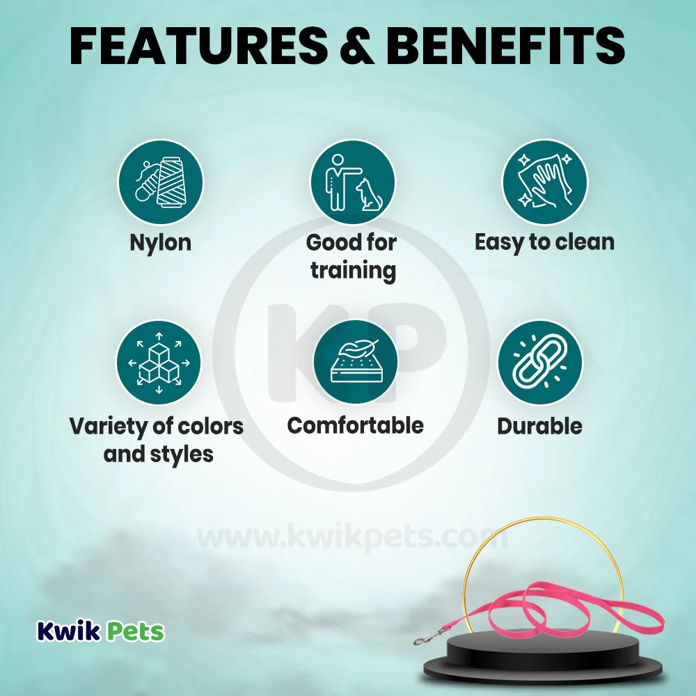 Coastal Single-Ply Nylon Dog Leash Neon Pink 5/8 in X 6 ft - Image 2