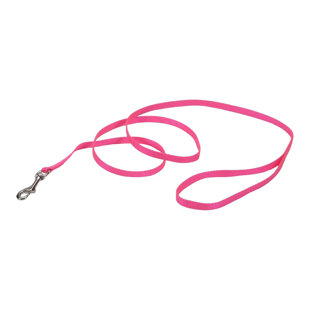 Coastal Single-Ply Nylon Dog Leash Pink Bright 3/8 in X 6 ft