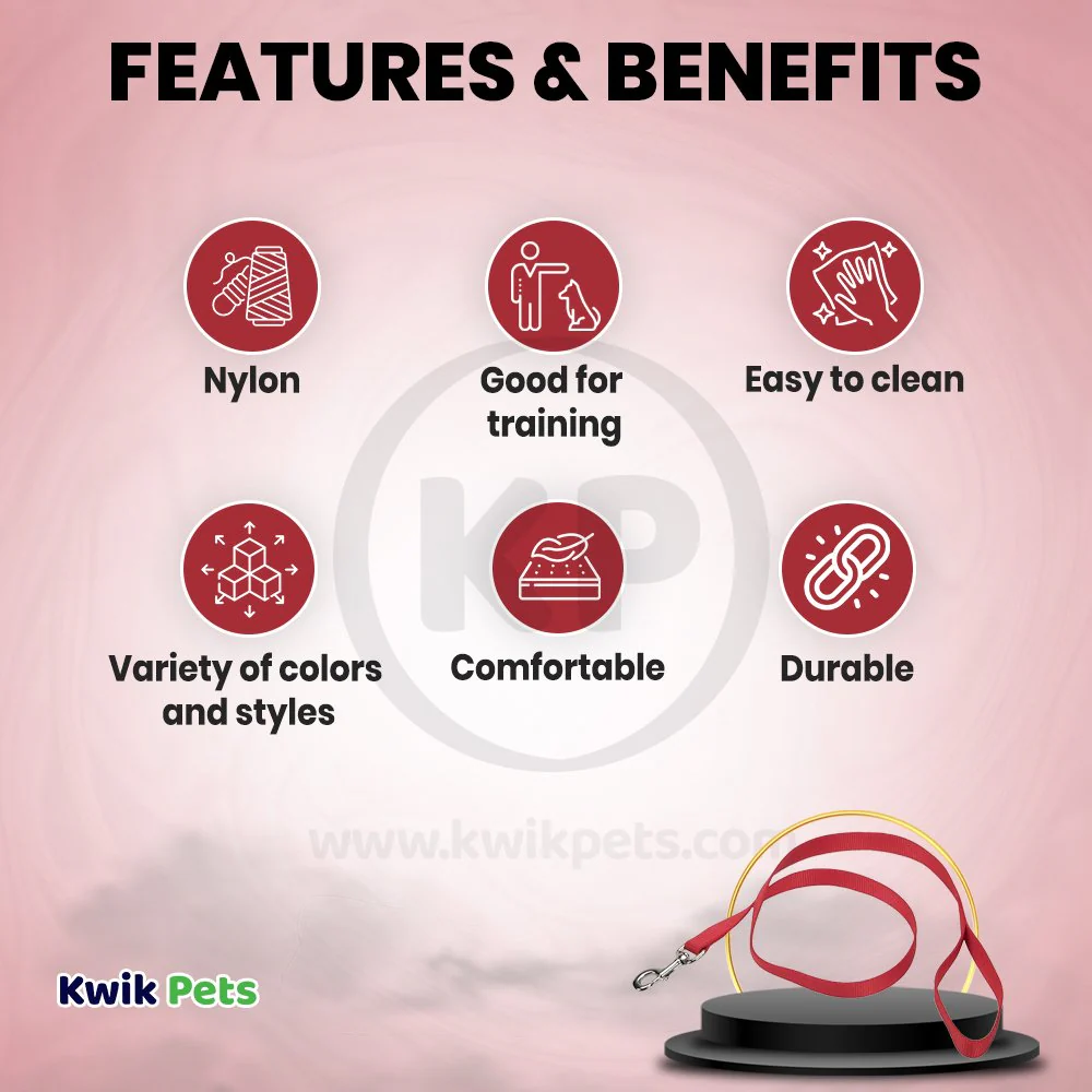 Coastal Single-Ply Nylon Dog Leash Red 5/8 in X 6 ft - Image 2
