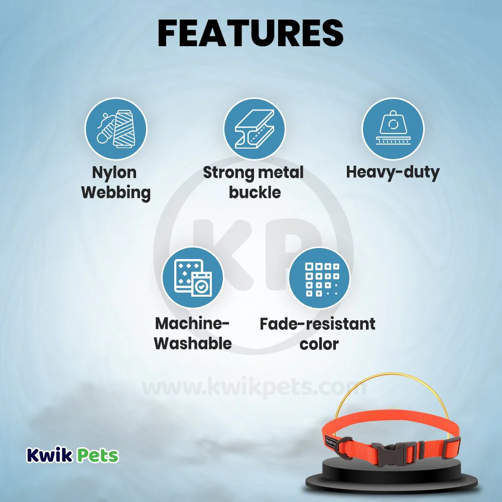 Coastal Water & Woods Adjustable Dog Collar Safety Orange 18-26 in - Image 2