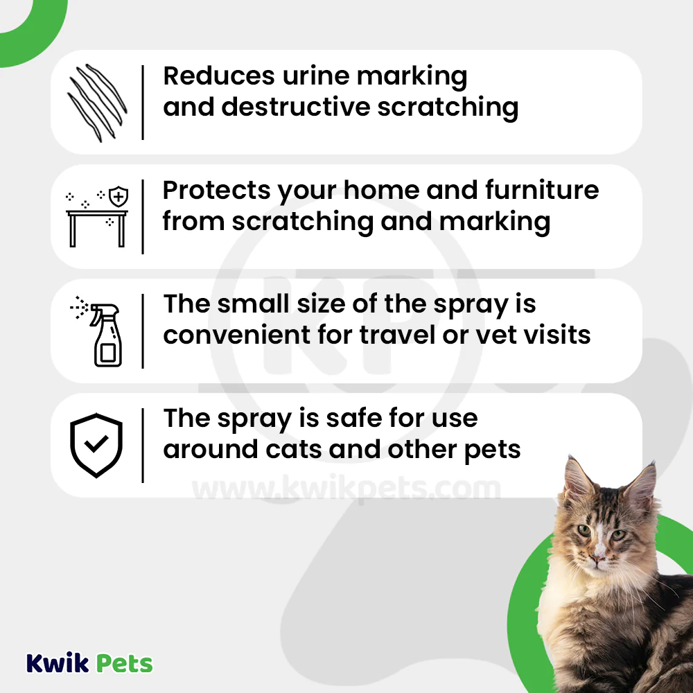 Comfort Zone Scratch Deterrent & Cat Calming Spray 59.2 ml 2-oz - Image 2