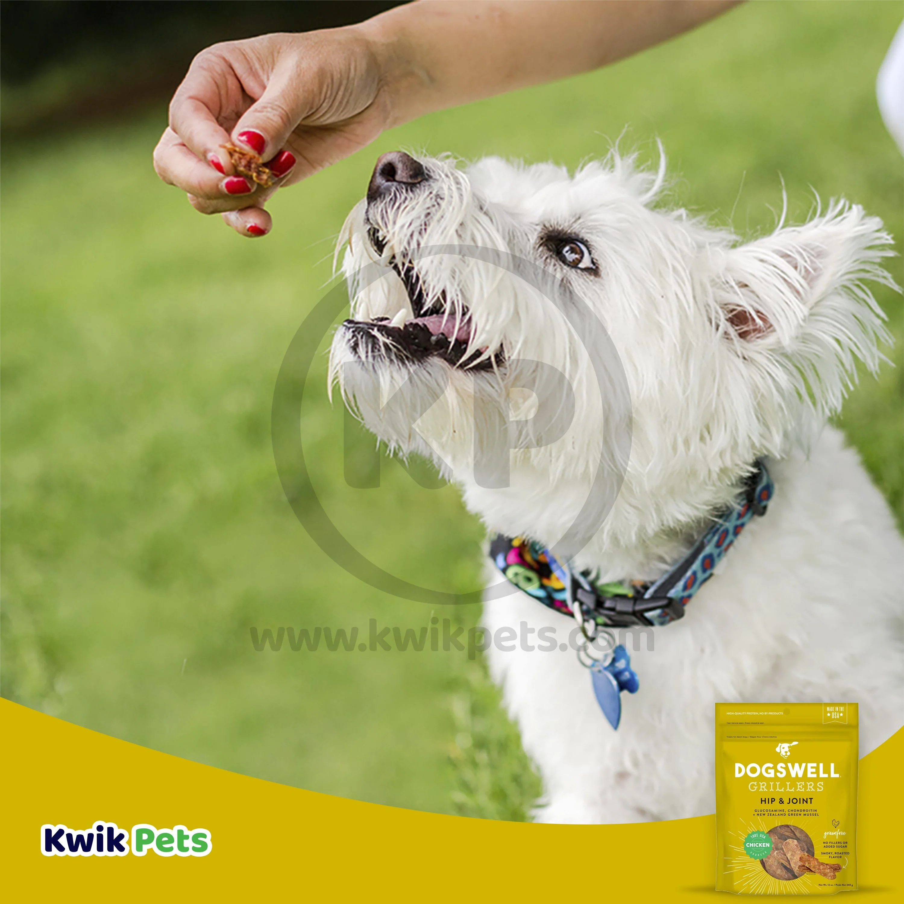 Dogswell Hip & Joint Grillers Grain-Free Dog Treats Chicken 12-oz - Image 8